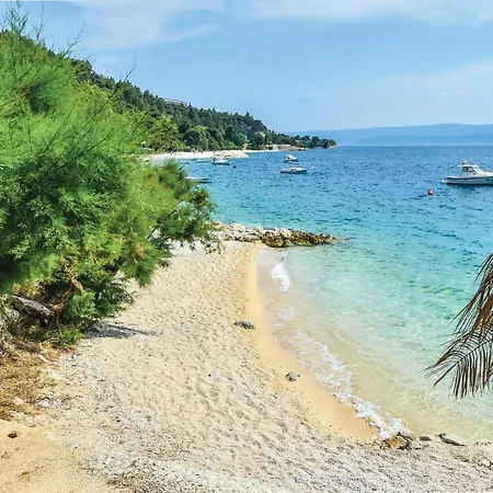 Put Borka V 아파트 *